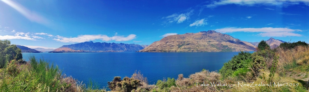 不期而遇的纽西兰