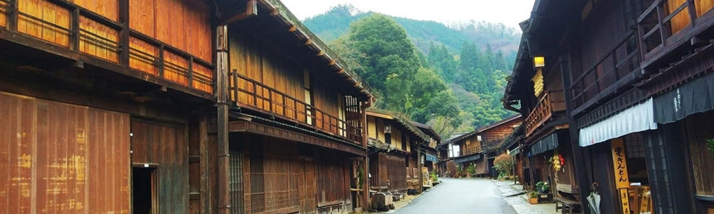 晴日古道,西风桑